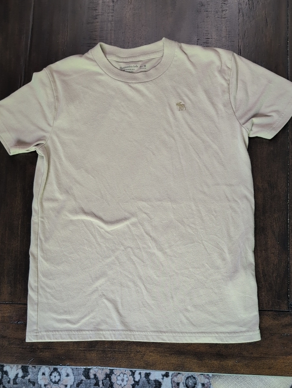 Abercrombie Kids Boys A&F Essentials Classic Fit T-Shirt – Size 15/16